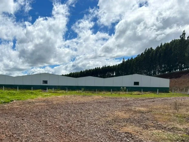 Cerca perimetral e galpão de um núcleo da Granja Real, com a estrada de acesso em primeiro plano.